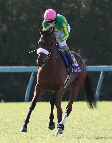 21年ダービー5着サトノレイナスはドウデュースの子を受胎中