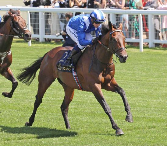 【セレクトセール2025】“フランケルの再来”11戦10勝・バーイードの牡馬が6400万円で落札