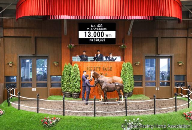 【セレクトセール2025】重賞2勝馬アートハウスの初子を藤田晋オーナーが1億3000万円で落札　父はコントレイル
