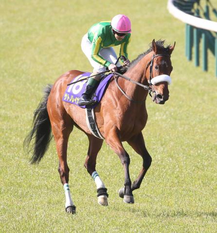 サトノレイナスはイクイノックス産駒の牡馬が誕生　現在はドウデュースを受胎中　