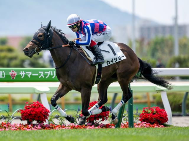 【函館2歳S予想オッズ】カイショーが予想1番人気