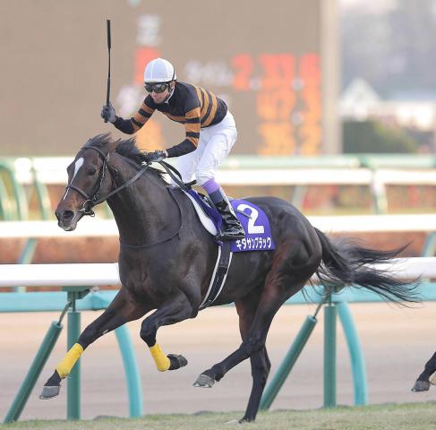 【セレクトセール2025】2日連続のキタサンまつり　産駒は2日で22頭中18頭が億超えホース　合計購入金額は43億円超え!