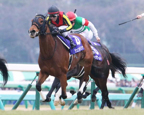 G1・7勝馬ジェンティルドンナが繁殖牝馬を引退　吉田俊介氏「子供もG1馬を出してすごい」