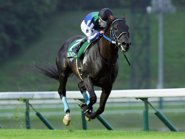 【盛岡・いしがきマイラーズ結果】1番人気シャイニーロックが6馬身差圧勝で重賞初制覇