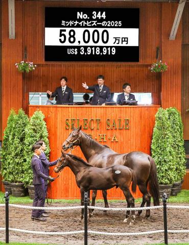 【セレクトセール2025】2日間の落札総額は過去最高の327億円　「1億円超え馬」も大幅増の86頭