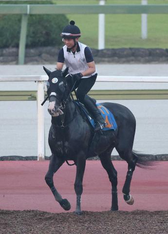 【小倉記念】ラスカンブレス連勝で重賞初Vだ!陣営「暑さにも負けている様子ない」