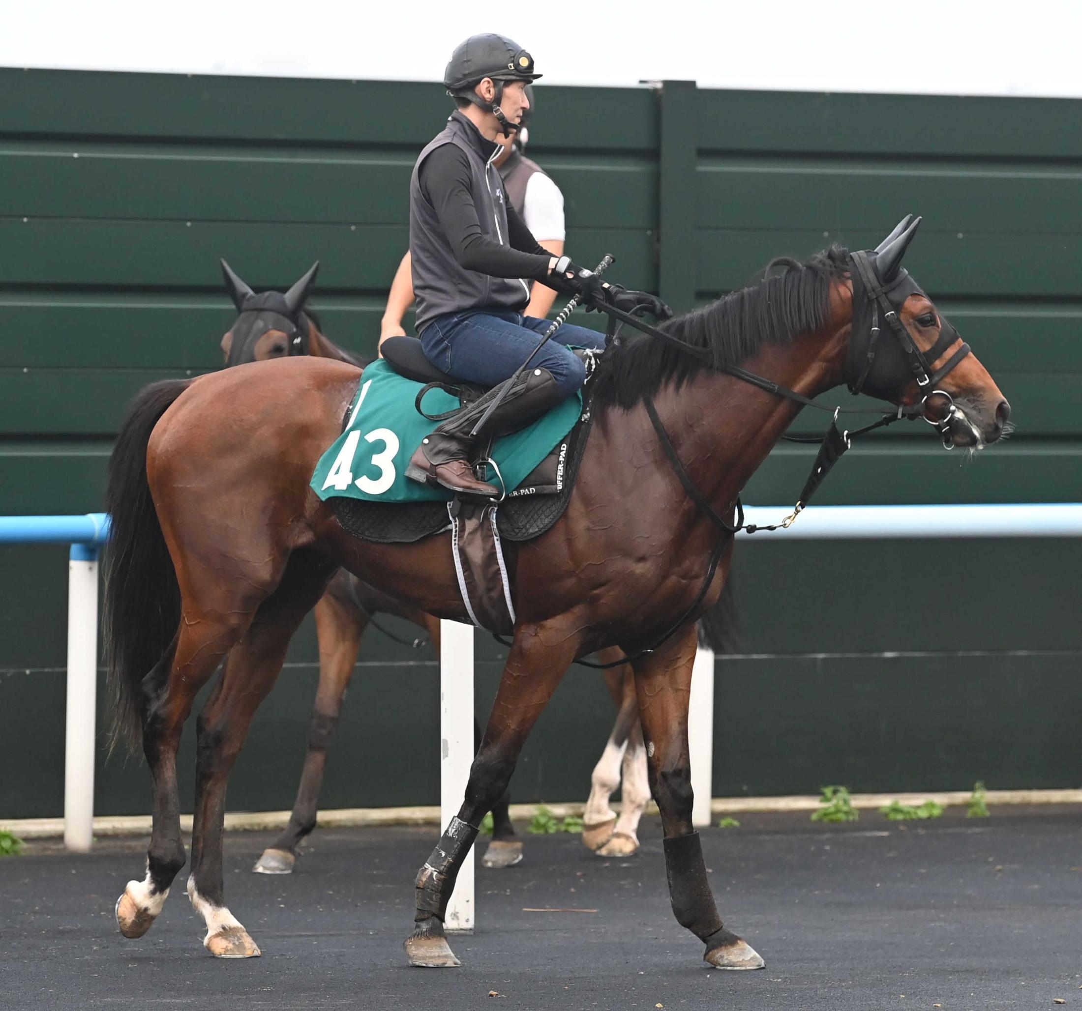 【新馬戦】ハムタン　武豊とのコンビでデビュー　母カレンブーケドールはＧ１・２着３回の良血馬