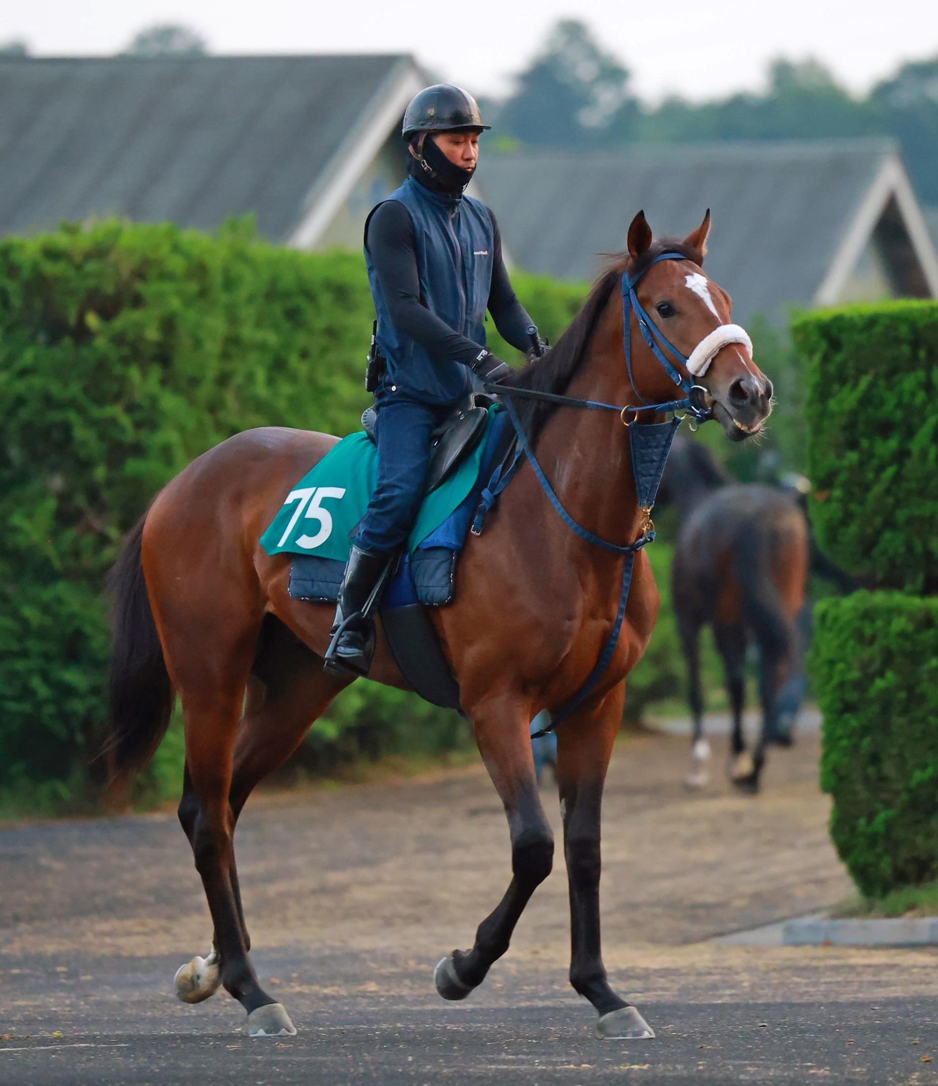 【新馬戦】ロードフィレール　良血馬のデビュー戦へ田嶋助手も期待「ゲートも速いし、気性も素直」