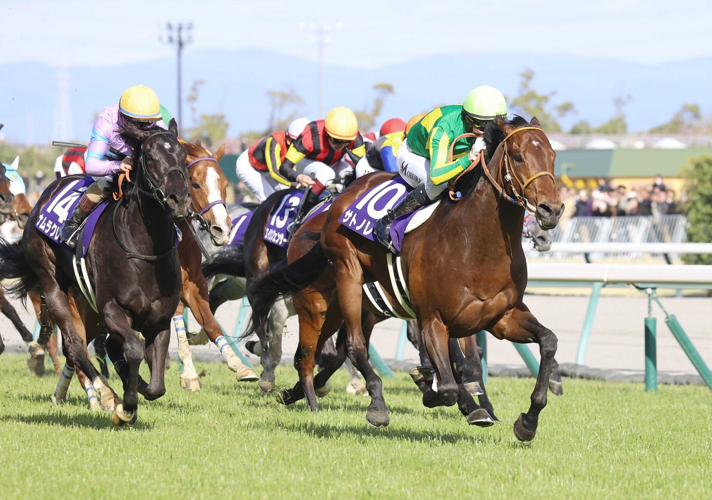 高松宮記念覇者のサトノレーヴはスプリンターズＳへ　ソウルラッシュは毎日王冠で復帰濃厚