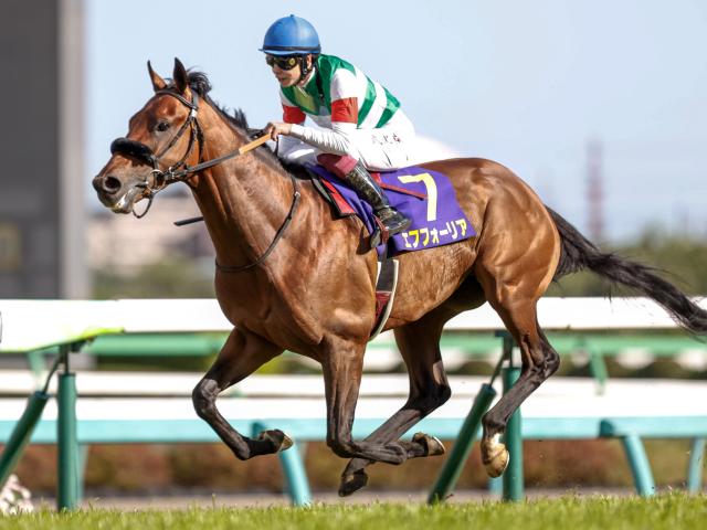 【セレクトセール2025】ロードカナロア、キズナ、エフフォーリア産駒の高額馬トップ3を振り返り