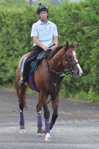 【小倉記念】友道厩舎でシュヴァルグランを父に持つメリオーレムが産駒重賞初V狙う　陣営「操縦性のよさは似ている」