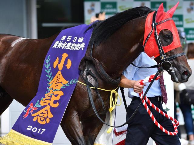 2度の格上勝利を挙げたタツゴウゲキ 重賞初制覇を果たした小倉記念