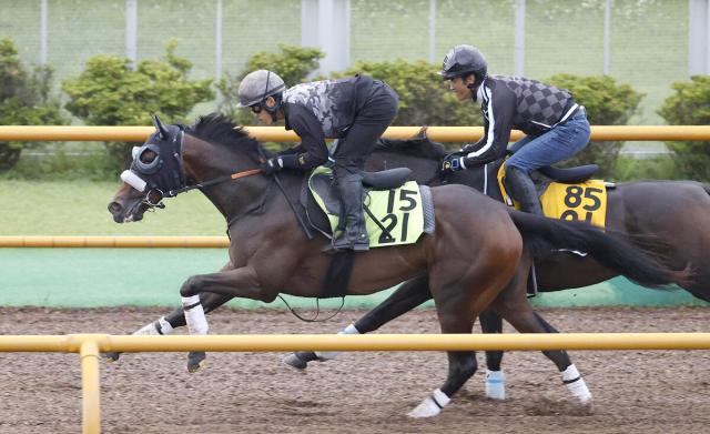 【函館2歳S】カイショーは馬の後ろに入れ折り合い確認　陣営「滞在でずっと順調」