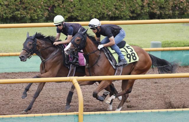 【函館2歳S】デビュー戦レコードVブラックチャリスは軽快そのもの　浜中俊騎手「身のこなしがシャキッとした感じ」