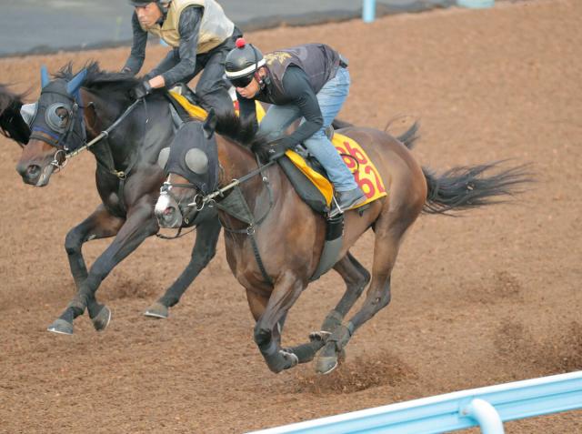 【福島テレビ賞】オーブルクールがWコースで余裕の最先着　矢野調教師「非常にいい出来をキープ」