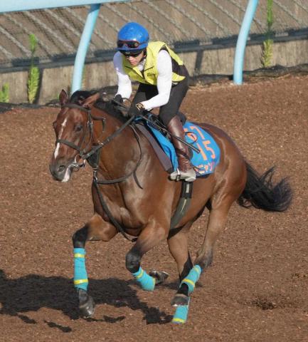 七夕賞3着オニャンコポンは現役続行　今週中に放牧へ