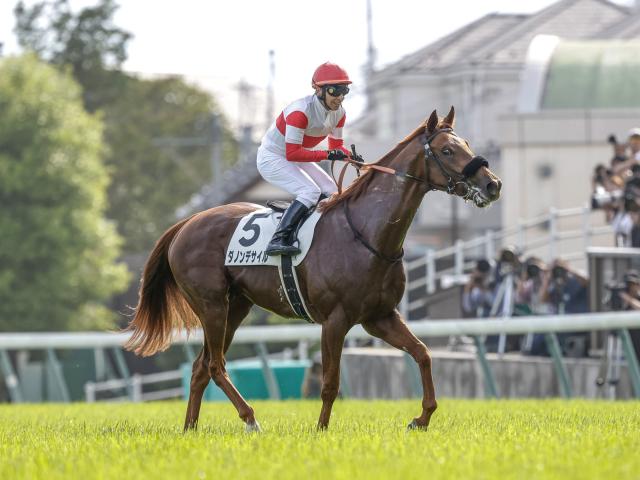 【有力馬動向】英遠征のダノンデサイルはパワフルな走りで順調な始動/馬三郎のつぶやき