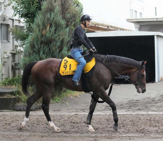 パイロ産駒の8歳馬ケンシンコウが引退…種牡馬入り　20年レパードS制覇　JRA発表