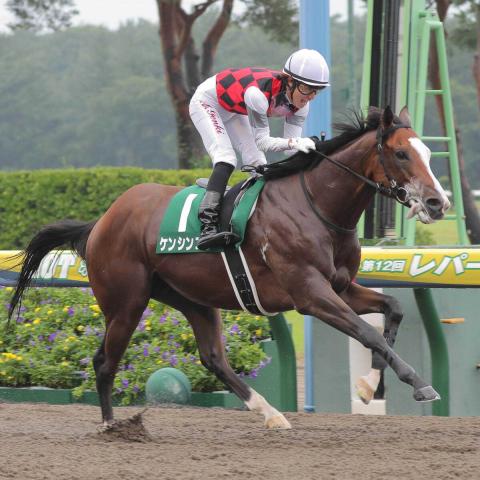20年レパードSを制したケンシンコウが抹消　今後は種牡馬を予定