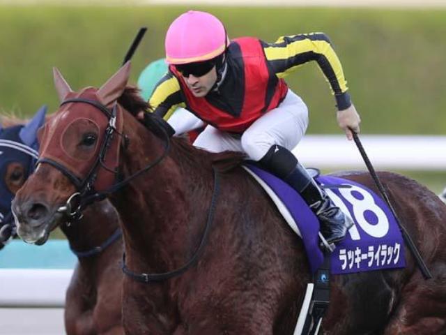 叔母はGI・4勝のラッキーライラック ポルフュロゲネトスがデビューVなるか