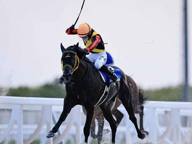 地方所属騎手最後の函館2歳S勝利から20年 スペシャルチャンス＆落合玄太騎手が久々勝利なるか