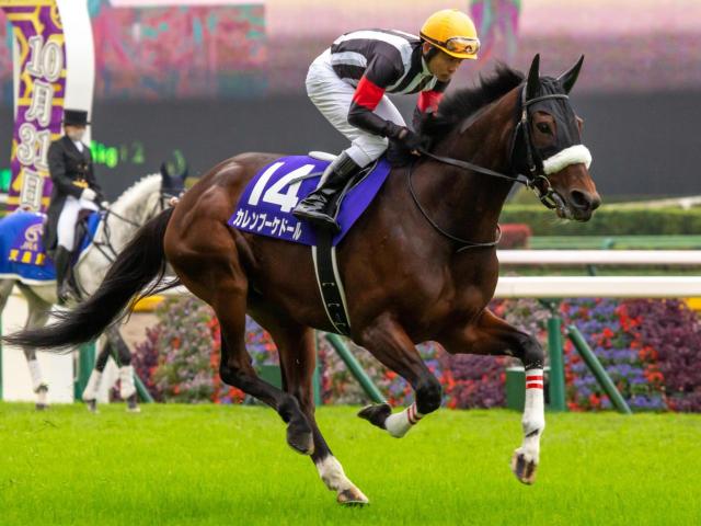 母はGI・2着3回のカレンブーケドール ハムタンが武豊騎手で初陣