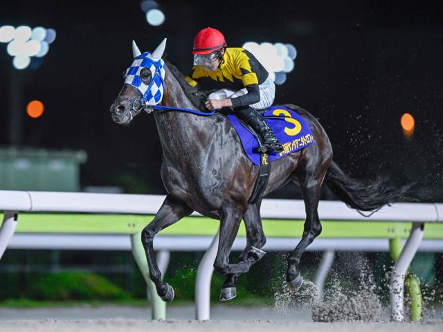 【大井・サンタアニタT結果】ランリョウオーが約1年半ぶりの勝利で重賞6勝目を挙げる