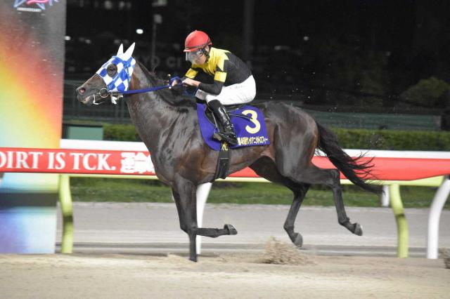 【大井競馬　サンタアニタトロフィー】ランリョウオーが重賞6勝目　3番手で折り合いピタリ