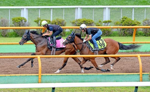 【函館2歳S】ブラックチャリス上昇気配　サラッとラスト1F12秒8「動きは良かった」