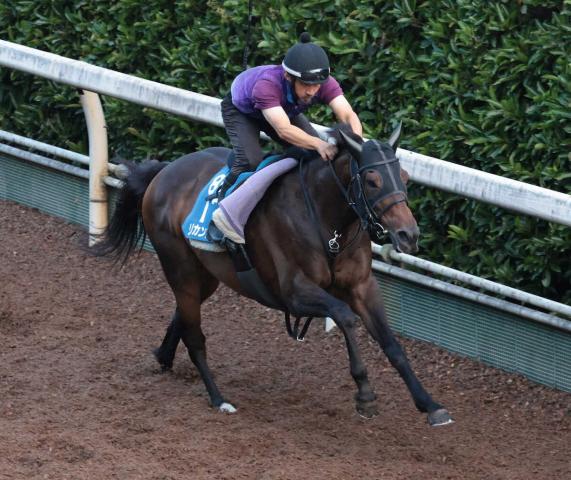 【小倉記念】リカンカブール　坂路4F53秒4　去勢効果に期待「まだまだやれる馬だと思う」