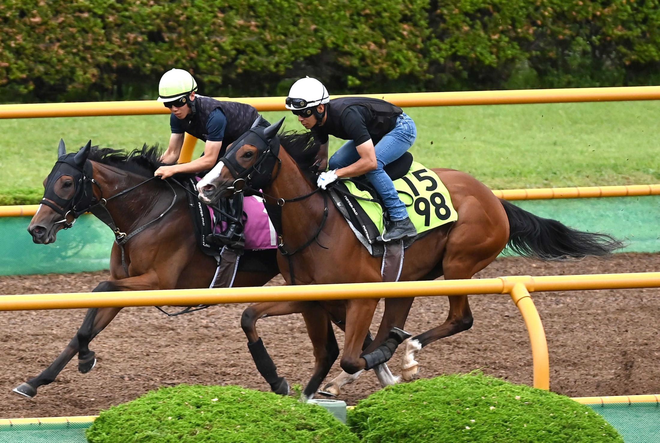 【函館２歳Ｓ】ブラックチャリス　余力残しでも目を引く動き　浜中「おとなしいタイプ」精神面を評価