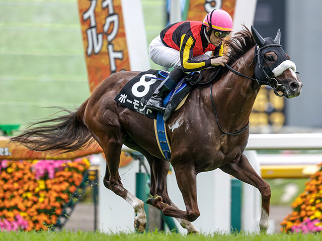 【阿武隈S】圧倒的内枠有利!? 波乱傾向の福島芝1800m戦
