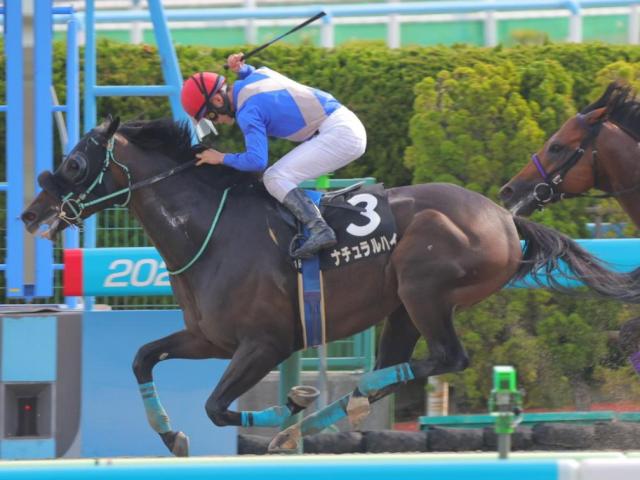 【マリーンS】前走大沼S組が好成績 人気薄でも狙いたい一戦