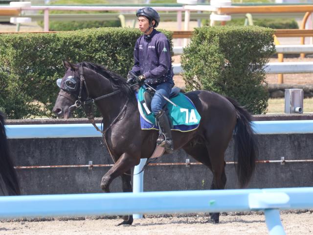 【JRA新馬戦】クロノジェネシスの仔ベレシートなどがデビュー