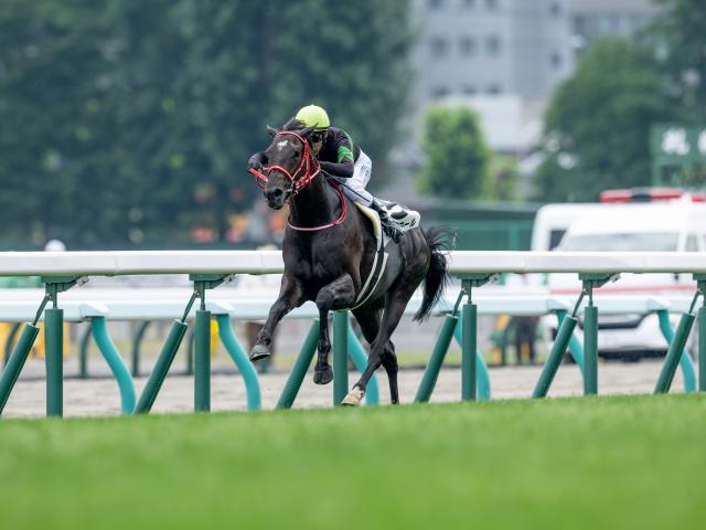 【よもやま話】札幌入厩中のキングスコールが好気配 1勝クラスからなら圧倒へ/馬三郎のつぶやき