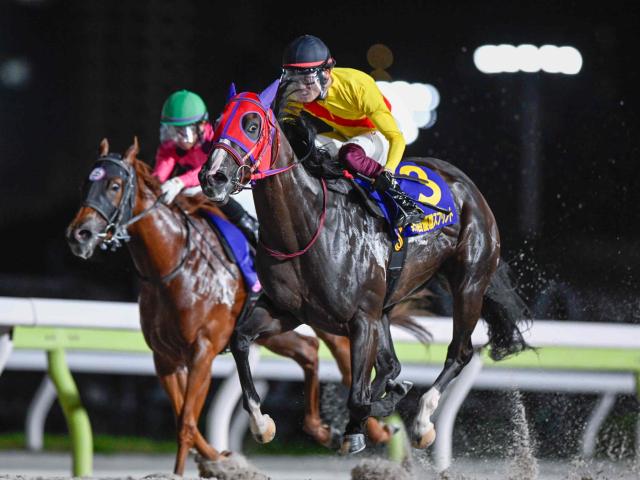 【大井・優駿スプリント結果】ハーフブルーが2番手から押し切り重賞初制覇
