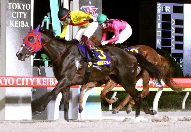 ハーフブルーが優駿スプリント優勝　笹川翼はバースデーV