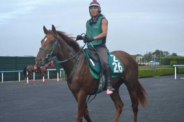 【函館新馬戦】アーレムアレス　思い通りの成長「最初の調教からインパクトあった」