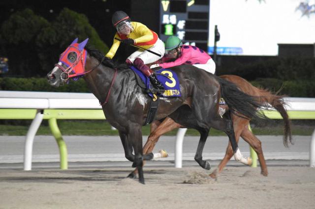 【大井11R・優駿スプリント】ハーフブルー重賞初V!　笹川は31歳バースデー飾る