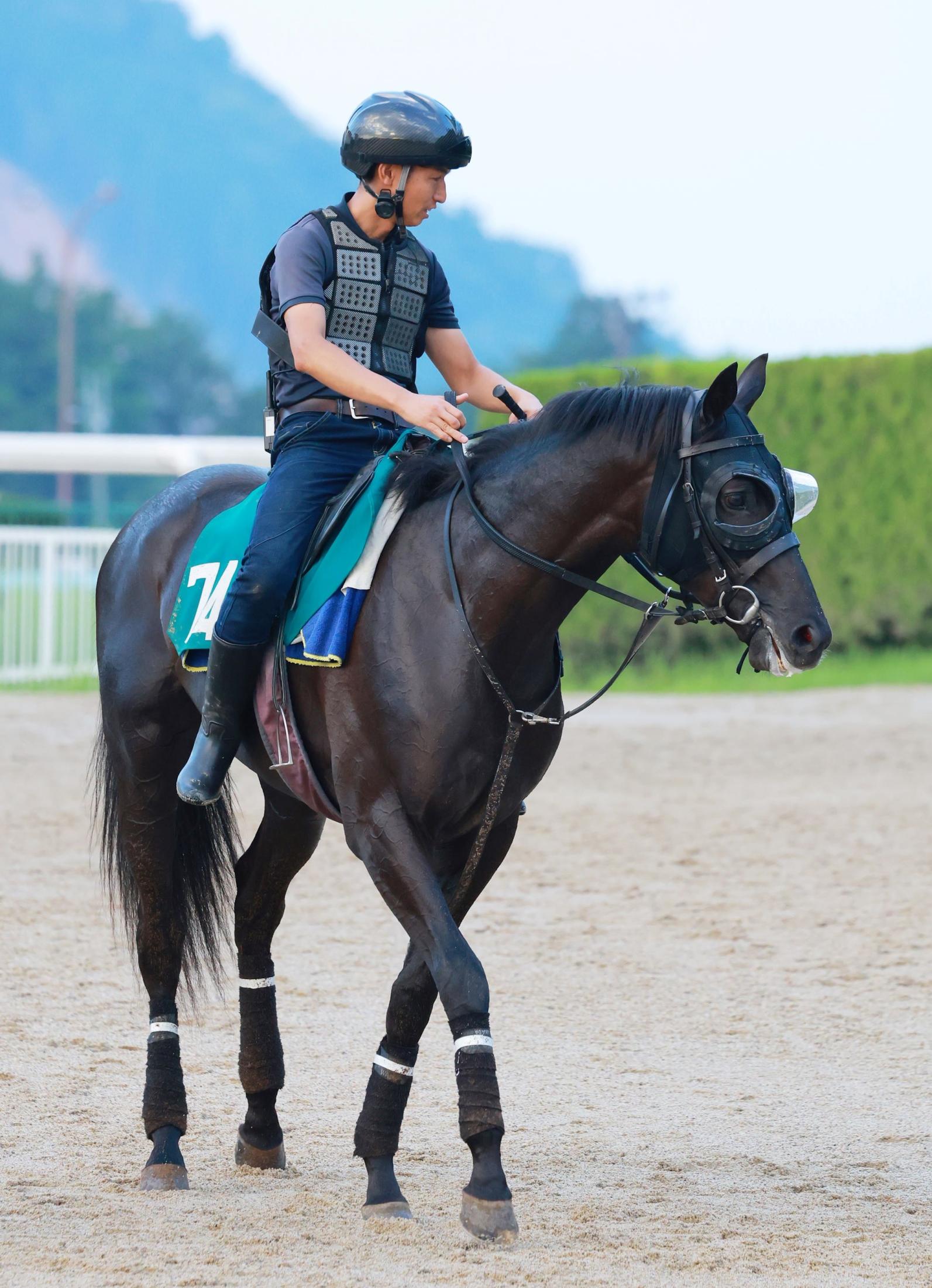 【新馬戦】ベレシート　母はＧ１・４勝のクロノジェネシス　斉藤崇師も及第点「動きはいいですね。一つずつ覚えていければ」