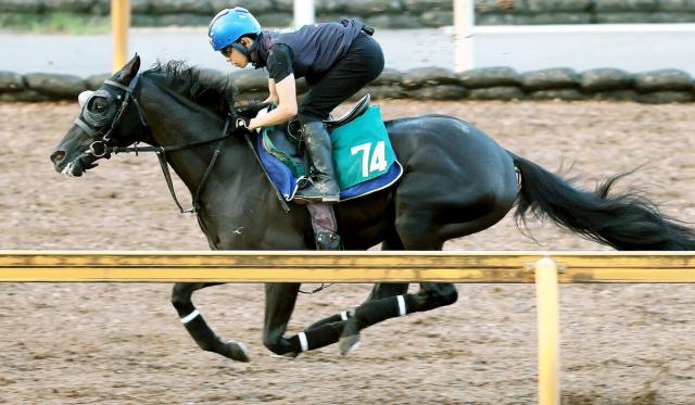 名牝クロノジェネシスの初子ベレシート　北村友一騎手と斉藤崇史調教師"クロワコンビ"で初陣　20日小倉5R新馬戦