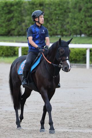 エピファニーが右後肢ハ行で小倉記念の出走を取り消す　昨年の小倉大賞典勝ち馬