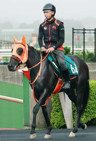 【函館2歳S】マイオウンウェイは角馬場で雰囲気の良さ漂わせる　オンオフの切り替えしっかり