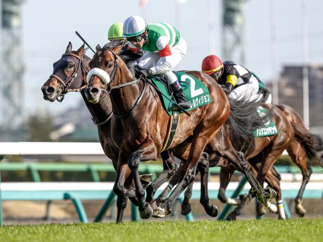 24年ダービー卿CT覇者パラレルヴィジョンが登録抹消 地方競馬に移籍予定