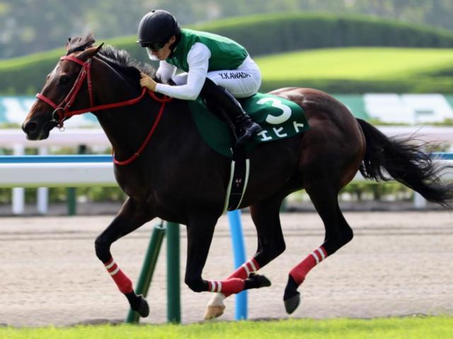 【小倉記念】ディープの血を引く馬が好調 狙い目の人気は？