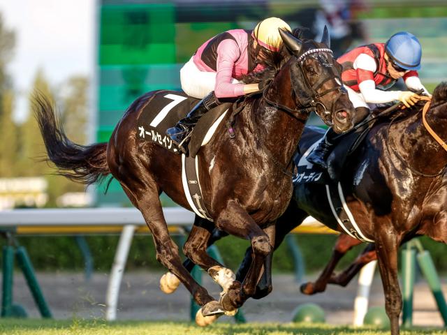 【小倉記念予想】“ナツコク”締めくくる名物ハンデ重賞 長く良い脚＆最後のひと伸びが要求されるコース