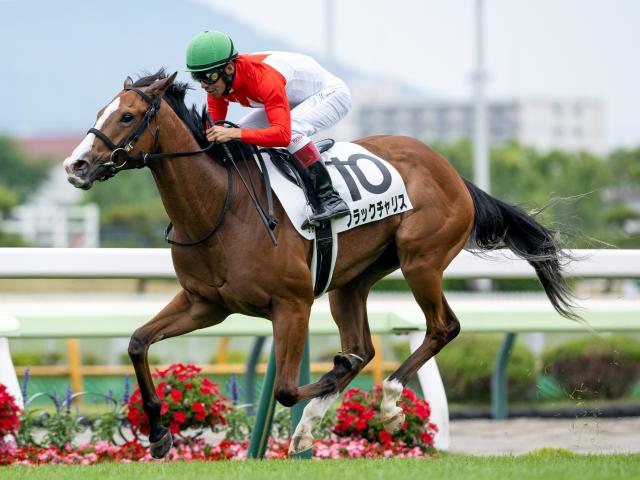 【函館2歳S予想】世代最初のJRA重賞 キャリアが浅い馬同士で波乱も