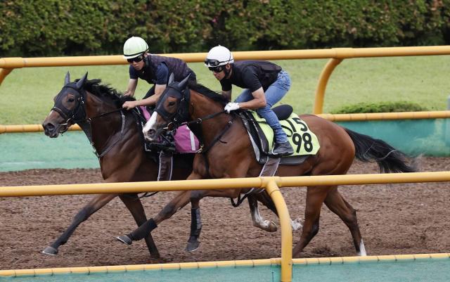 【函館2歳S】2歳コースレコードVのブラックチャリスが6枠8番　快速馬カイショーは2枠2番