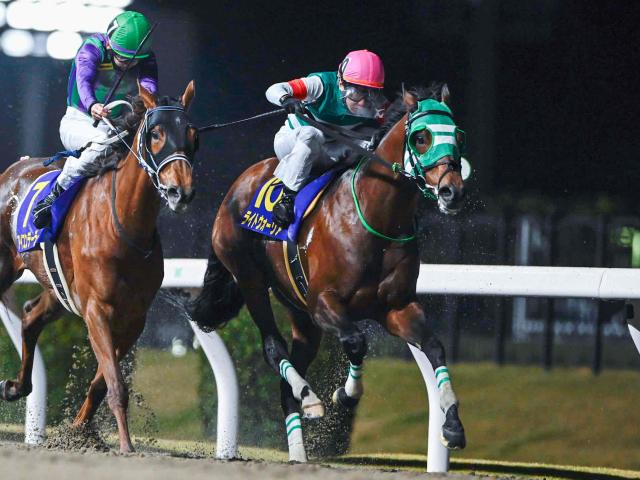 【盛岡・マーキュリーC枠順】川崎所属のライトウォーリアは1枠1番