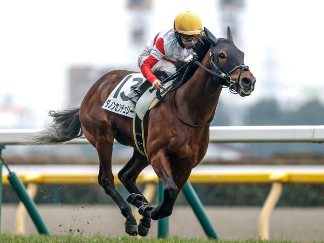【有力馬動向】素質馬・ダノンセンチュリーが鋭い加速 仕切り直しの一戦に注目！/馬三郎のつぶやき